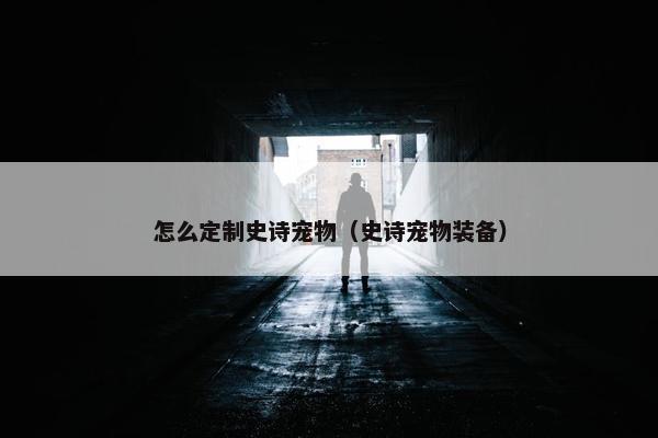 怎么定制史诗宠物（史诗宠物装备）