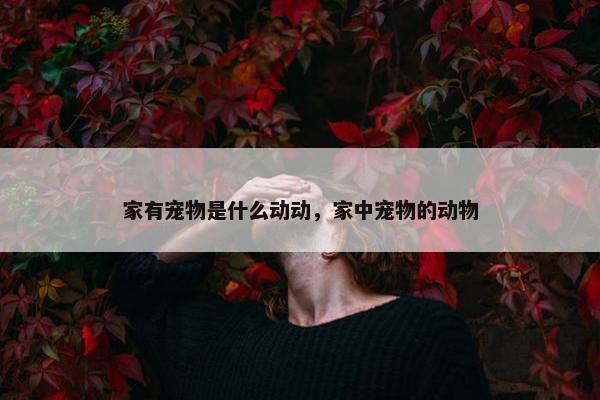 家有宠物是什么动动，家中宠物的动物