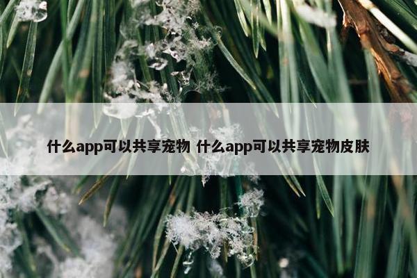 什么app可以共享宠物 什么app可以共享宠物皮肤