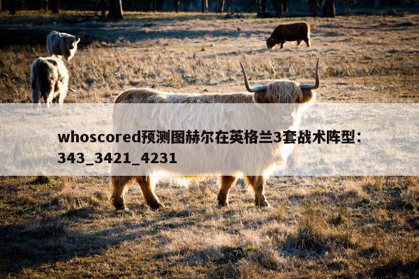 whoscored预测图赫尔在英格兰3套战术阵型：343_3421_4231