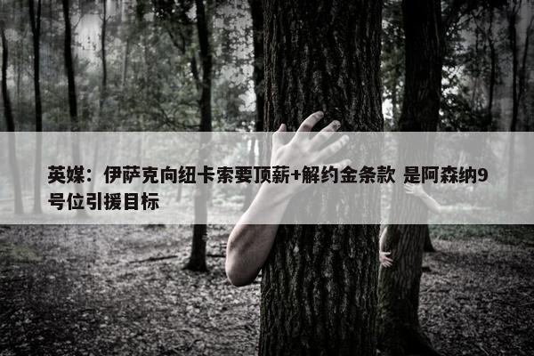 英媒：伊萨克向纽卡索要顶薪+解约金条款 是阿森纳9号位引援目标