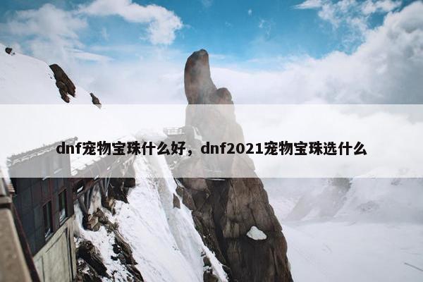 dnf宠物宝珠什么好，dnf2021宠物宝珠选什么