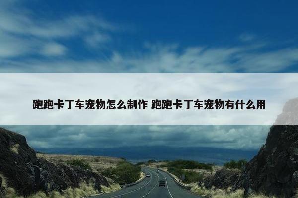 跑跑卡丁车宠物怎么制作 跑跑卡丁车宠物有什么用