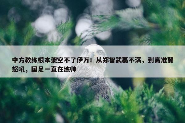 中方教练根本架空不了伊万！从郑智武磊不满，到高准翼怒吼，国足一直在练帅