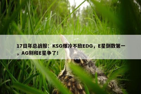 17日年总战报：KSG爆冷不敌EDG，E星倒数第一，AG别和E星争了！