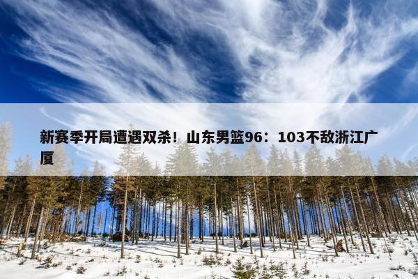 新赛季开局遭遇双杀！山东男篮96：103不敌浙江广厦