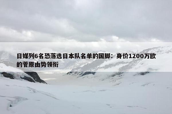 日媒列6名恐落选日本队名单的国脚：身价1200万欧的菅原由势领衔