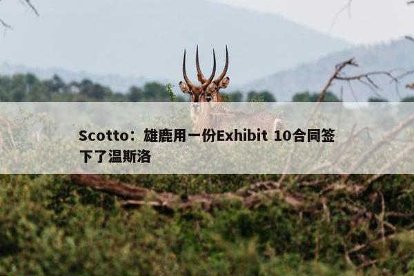 Scotto：雄鹿用一份Exhibit 10合同签下了温斯洛