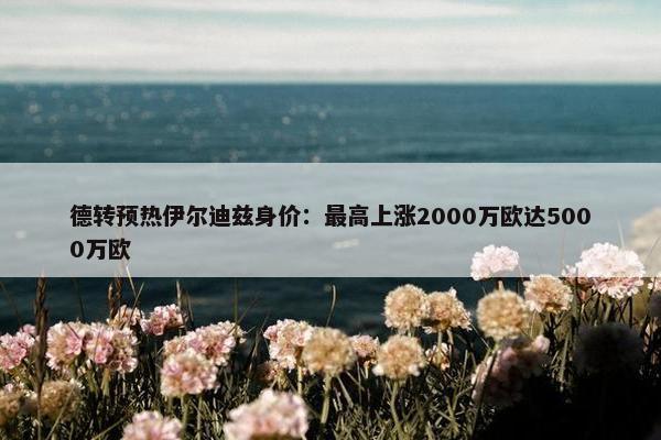 德转预热伊尔迪兹身价：最高上涨2000万欧达5000万欧