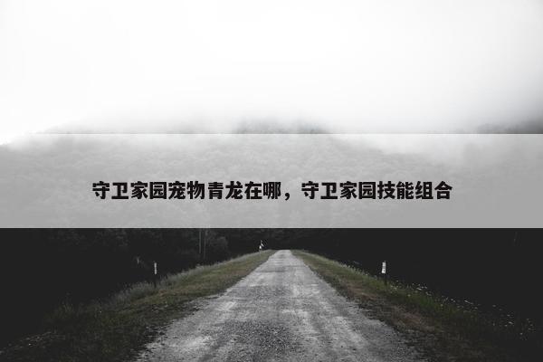 守卫家园宠物青龙在哪，守卫家园技能组合