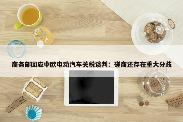 商务部回应中欧电动汽车关税谈判：磋商还存在重大分歧