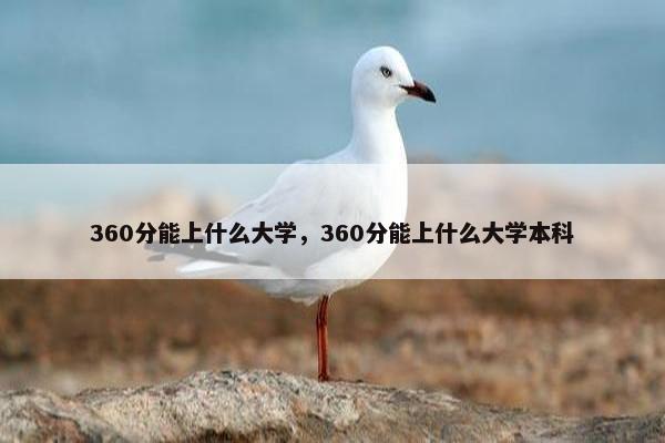 360分能上什么大学，360分能上什么大学本科