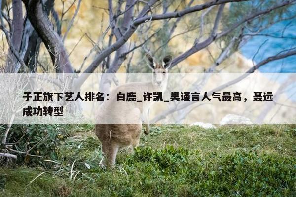 于正旗下艺人排名：白鹿_许凯_吴谨言人气最高，聂远成功转型