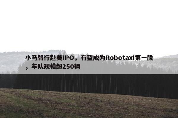 小马智行赴美IPO，有望成为Robotaxi第一股，车队规模超250辆