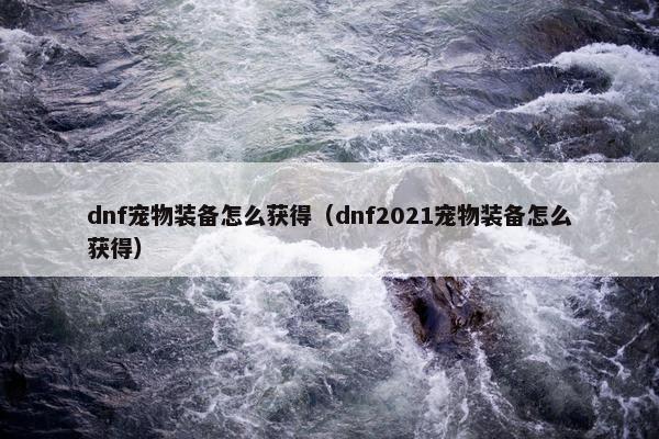 dnf宠物装备怎么获得（dnf2021宠物装备怎么获得）