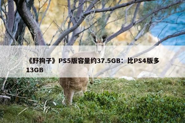 《野狗子》PS5版容量约37.5GB：比PS4版多13GB