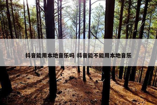 抖音能用本地音乐吗 抖音能不能用本地音乐