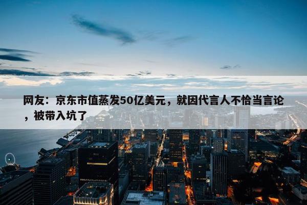 网友：京东市值蒸发50亿美元，就因代言人不恰当言论，被带入坑了