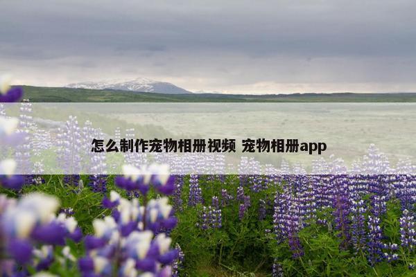 怎么制作宠物相册视频 宠物相册app