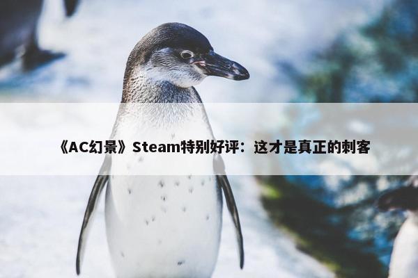 《AC幻景》Steam特别好评：这才是真正的刺客