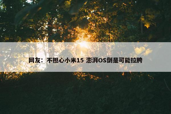 网友：不担心小米15 澎湃OS倒是可能拉胯