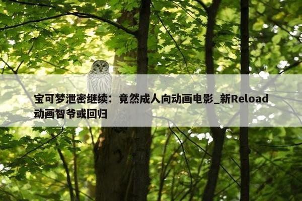 宝可梦泄密继续：竟然成人向动画电影_新Reload动画智爷或回归