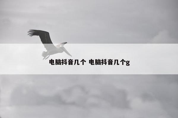 电脑抖音几个 电脑抖音几个g