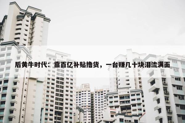 后黄牛时代：靠百亿补贴撸货，一台赚几十块泪流满面