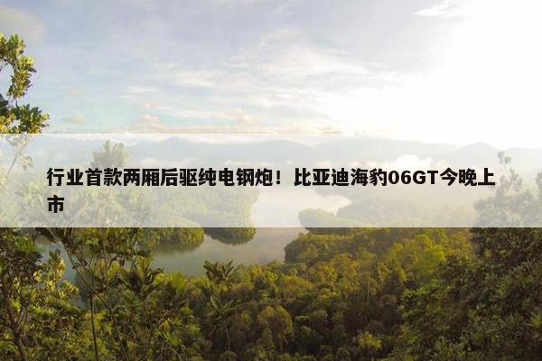 行业首款两厢后驱纯电钢炮！比亚迪海豹06GT今晚上市