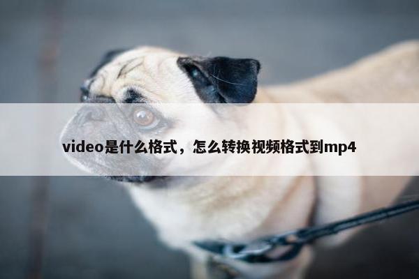 video是什么格式，怎么转换视频格式到mp4