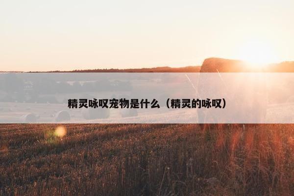 精灵咏叹宠物是什么（精灵的咏叹）