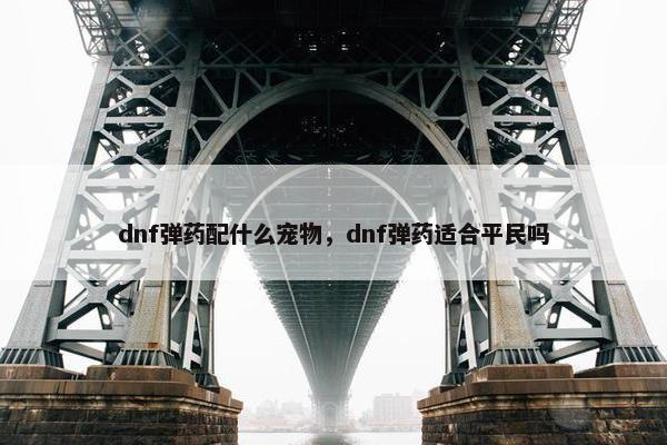 dnf弹药配什么宠物，dnf弹药适合平民吗