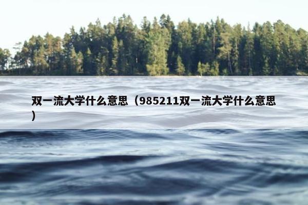 双一流大学什么意思（985211双一流大学什么意思）