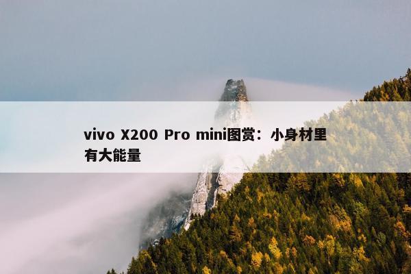 vivo X200 Pro mini图赏：小身材里有大能量