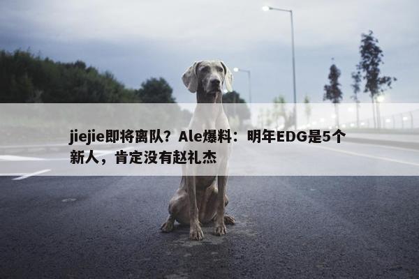 jiejie即将离队？Ale爆料：明年EDG是5个新人，肯定没有赵礼杰