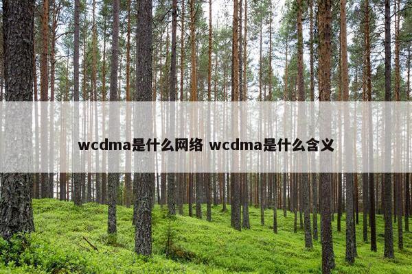 wcdma是什么网络 wcdma是什么含义