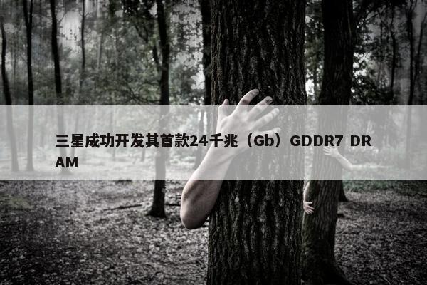 三星成功开发其首款24千兆（Gb）GDDR7 DRAM