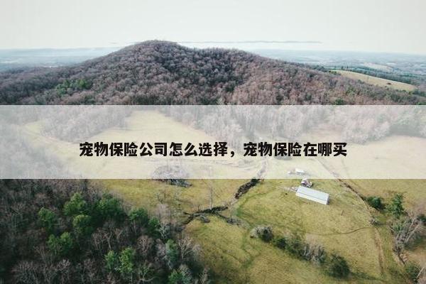 宠物保险公司怎么选择，宠物保险在哪买