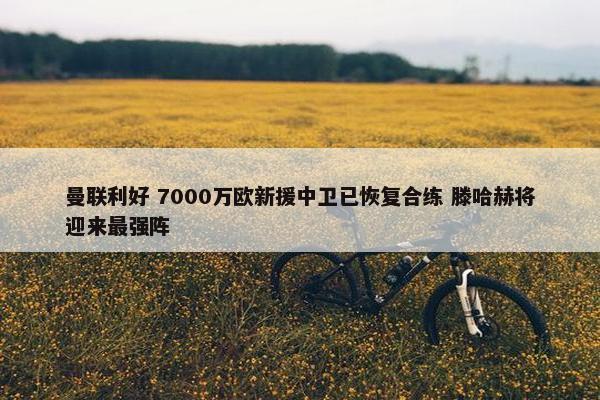 曼联利好 7000万欧新援中卫已恢复合练 滕哈赫将迎来最强阵