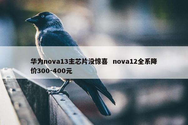 华为nova13主芯片没惊喜  nova12全系降价300-400元