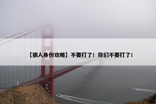 【狼人身份攻略】不要打了！你们不要打了！