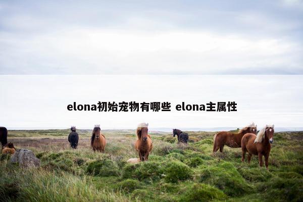 elona初始宠物有哪些 elona主属性