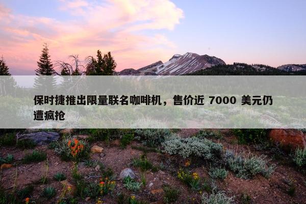 保时捷推出限量联名咖啡机，售价近 7000 美元仍遭疯抢