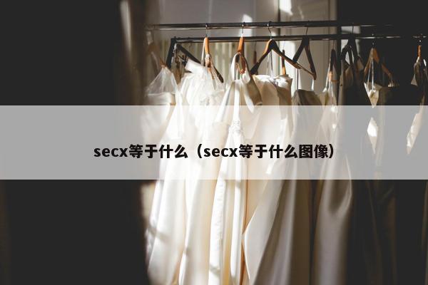 secx等于什么（secx等于什么图像）