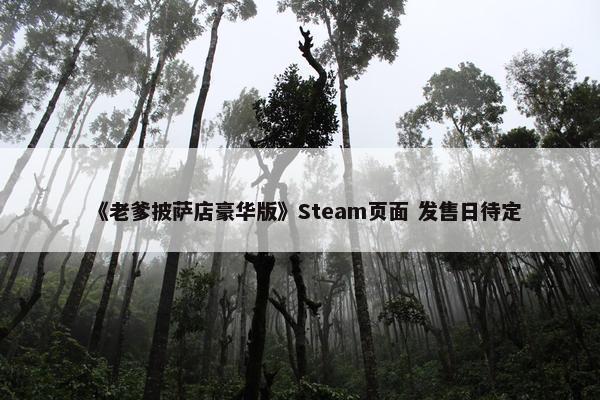 《老爹披萨店豪华版》Steam页面 发售日待定