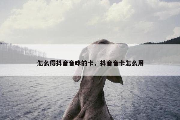 怎么得抖音音咪的卡，抖音音卡怎么用