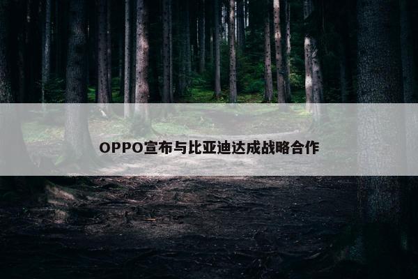 OPPO宣布与比亚迪达成战略合作