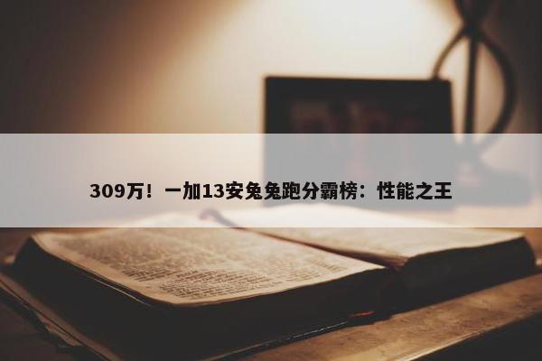 309万！一加13安兔兔跑分霸榜：性能之王