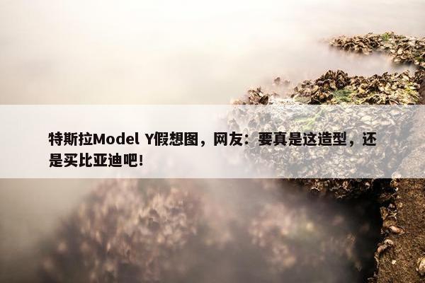 特斯拉Model Y假想图，网友：要真是这造型，还是买比亚迪吧！