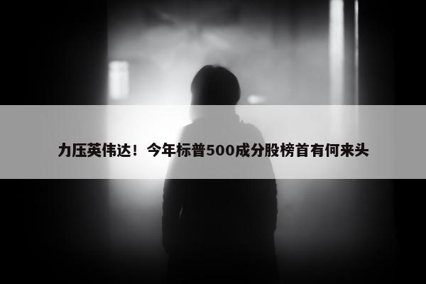 力压英伟达！今年标普500成分股榜首有何来头